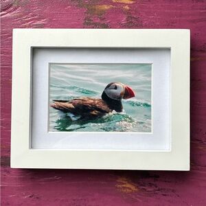 Framed Puffin Art Print - Miniature White Frame